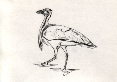 Macqueen posture-m1