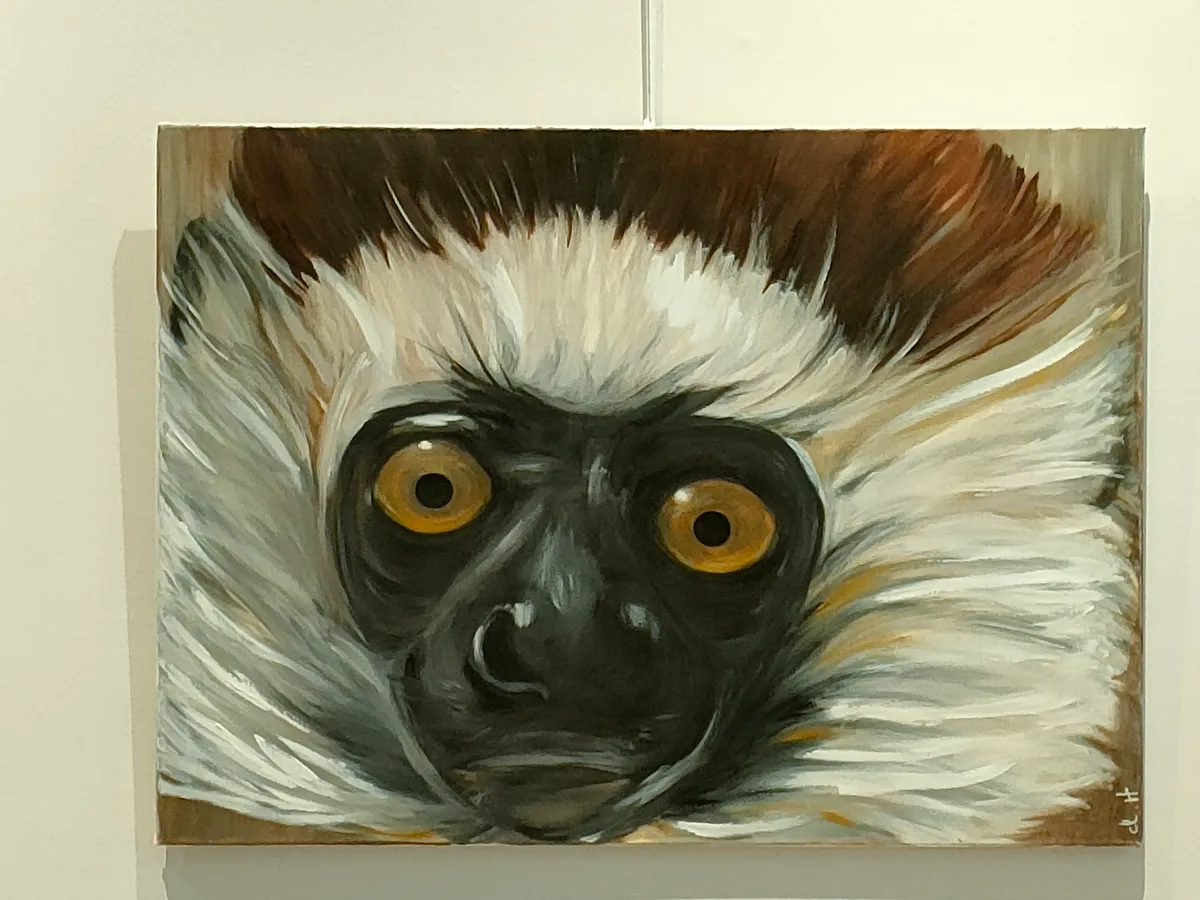 2019-SIFAKA